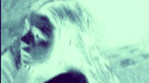 i love this vintage retro antique art collection