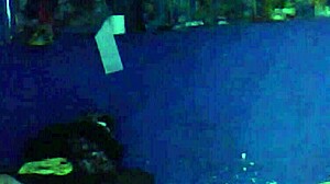 After The Party, I Sneak Out To Fuck The Neighbor