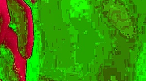 adelina noir's femdom hotel marathon with fisting?