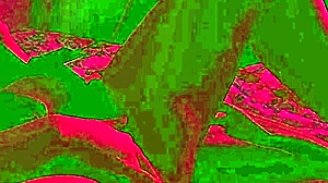 adelina noir's femdom hotel marathon with fisting?