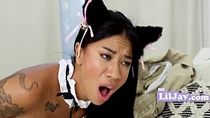 Asian Maids Touch Ignites Unstoppable Desire Now!