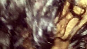 Interrogation trailer shows cute natural dreadgirl bound in hairy fetish bondage