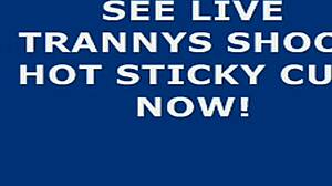 Shemale masturbates to hot cumshot on webcam!