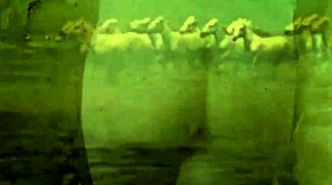 My secret life unfolds in vintage silent movies with hairy pussy and retro beaver action