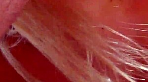 The best total latina spanish nympho milf whore housewife is banged on the beach outdoors