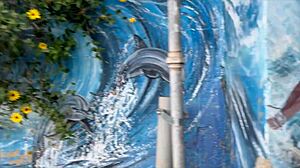 Point Break XXX Beach DH Party Package