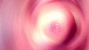 alexa flexy takes balls deep anal in 4on1, gapes asshole, swallows cum