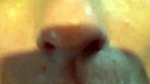 Alineflavio shares update 95 from July 6, 2024.