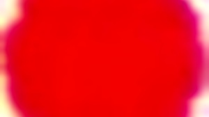 cuck4k embracing the fantasy with husband watching wife in big tits piercing scene