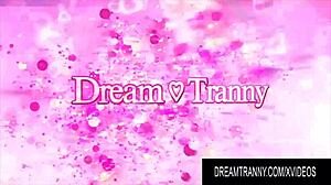 In this dream tranny compilation, latina shemales mount dildos solo with toys