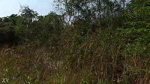 My First Rough Encounter in Thailand?