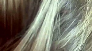 Alineflavio shares update 95 from July 6, 2024.