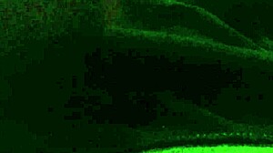 So horny for black cock