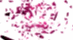 Mature milf again cheating on her husband in sex chat big tits and hairy pussy close up