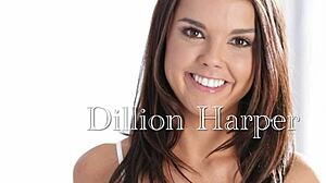 My Favorite Pornstars Babe Softcore Collection