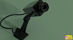 Pussy juices drip as blonde and brunette fuck with toys doggystyle in lesbian action