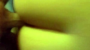 Another Cream Pie For Maria In Public Fucking.