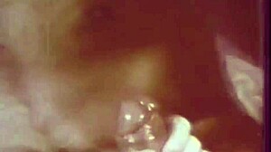 Dark Lantern Entertainment Presents The Sins Of Our Step Mothers From My Secret Life The Erotic Confessions Of A Victorian English Gentleman