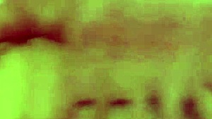 Young Babes Jenni T In Doggystyle Anal