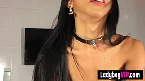 Pretty Asian Ladyboy Gives Pov Blowjob