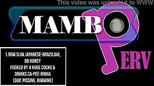 Slim Japanese-Brazilian Ob Honey Fucked By Four Huge Cocks With Dap Pissing Rimming Anal Atm Gapes