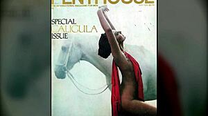 my collection of penthouse magazines from 1980 to 1981