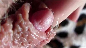 she experienced an intense big clit orgasm in a detailed closeup view that captured every pulsing moment