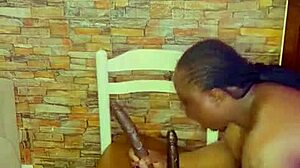 Sundaydogood614 Update 954 Vid 20250408 193842 Apr 08 2025