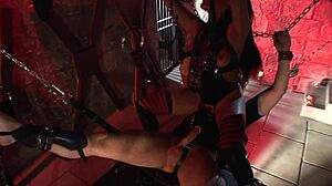 Suzanne Kelly Has The Best Titties In Class