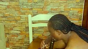 Sundaydogood614 Update 954 Vid 20250408 193842 Apr 08 2025