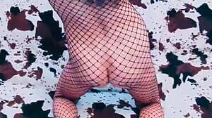 Milf In Lingerie Raises Legs For Pov Anal Assfucking