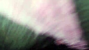 suggestive passionate sex with a prostitute in the room.