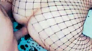 Milf In Lingerie Raises Legs For Pov Anal Assfucking