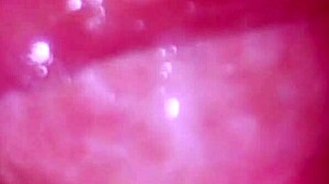 sweet japanese romance unfolds gently