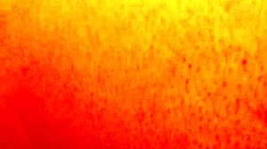 Dozier313 Fucks Ebony BBW Ass In Outdoor Creampie