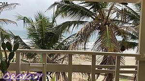 why does ebony wife flash pussy outdoors at beach house?