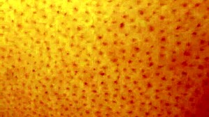 Dozier313 Fucks Ebony BBW Ass In Outdoor Creampie