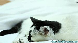 Petite Aaliyah Love Feels Intense Facial Pleasure