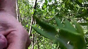 Clitlicker662 - Update 40 - Img 1437 - Jun 30 2025