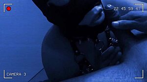 roxy the helper sucking that tool roxy la asistente mamando herramienta