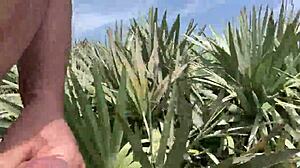 Clitlicker662 - Update 40 - Img 1437 - Jun 30 2025