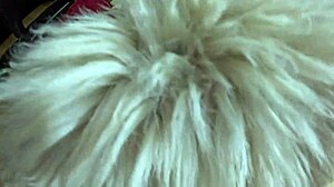 Face-fucking or cum play? Choose with sexy MILF