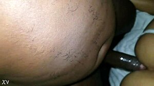 i fucked brazilian slut's ass hard