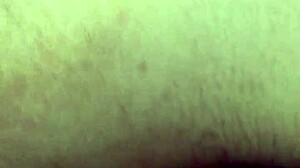 After The Party, She Turns On The Dick For Bent Over Assfucking!