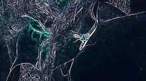 Warning! Club Mix Lighting Rimming And Bj