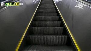 Brazilian anal queen caught licking TV presenter's pussy backstage during interview