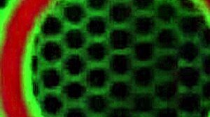 Cuban Angelina Castro and Gia Love in Wet Lesbian Lingerie