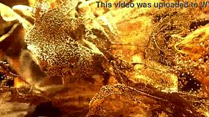 SEXY SKINNY KATIA SWEET HARDCORE GANGBANG FIRST TAP DAP BIG GAPE