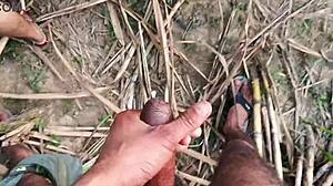 i fucked my sexy married girlfriend hard in sugarcane field