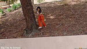 horny jailbird craves cock lulu chu reese robbins